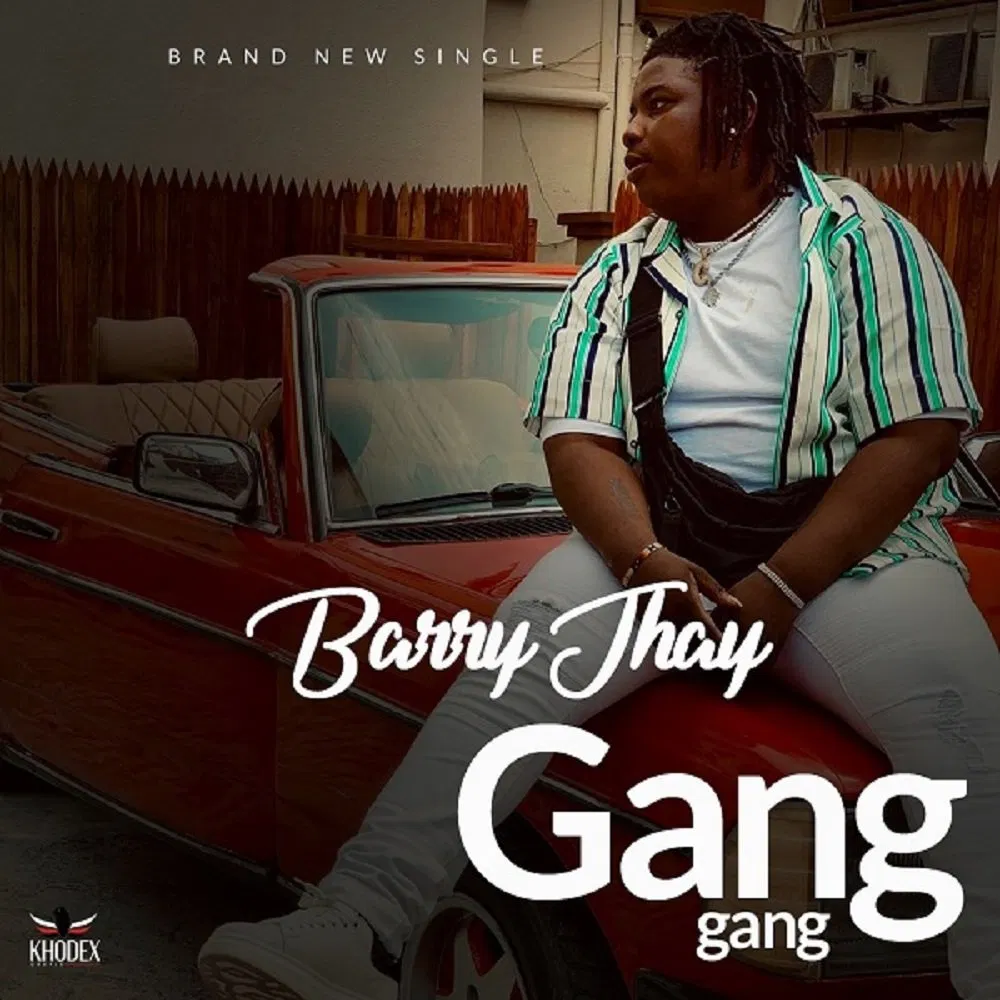 Barry Jhay – Gang Gang