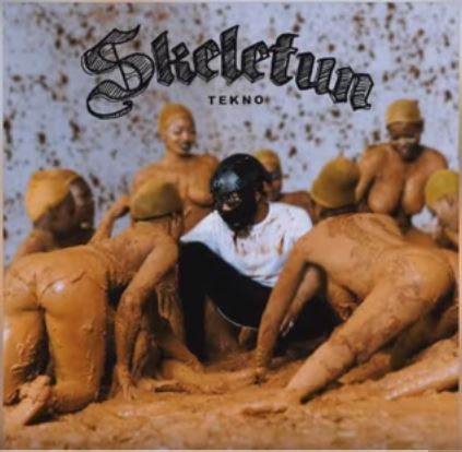 Tekno Skeletun Official Audio mp3 image
