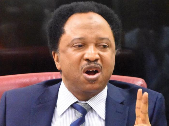 Why Nigerians Will Continue To Eat Expired Rice Despite Warning – Shehu Sani