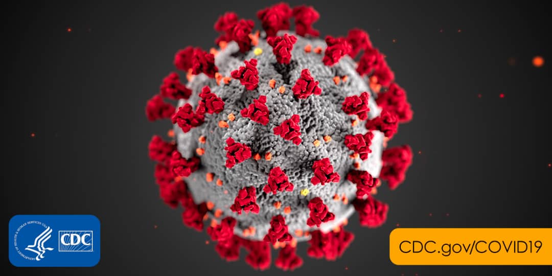 [Must Read] Advantages of Corona Virus