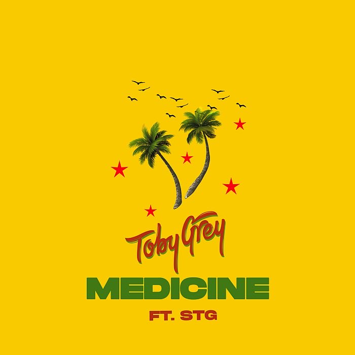 Toby Grey Ft. STG Medicine Dancehall