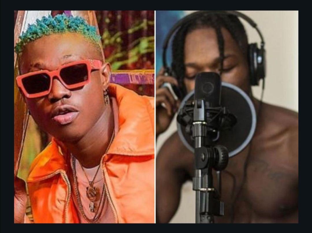 CHOOSE WISELY!! You Need A Dope Verse To Complete Your Song, Who Would You Choose Between Zlatan & Naira Marley?