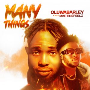 redesign oluwabarley many things ft martinz feelz87877887